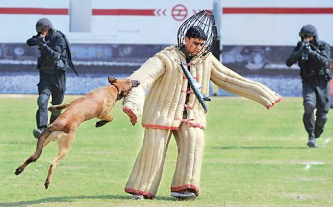 ખૂબ જ આક્રમક સ્વભાવના