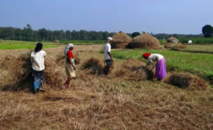 વાવેતરમાં મોડું થવાની શક્યતા