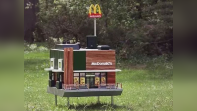 કેમ મધમાખીઓ માટે તૈયાર કરવામાં આવી McDonald’s રેસ્ટોરન્ટ? જાણો