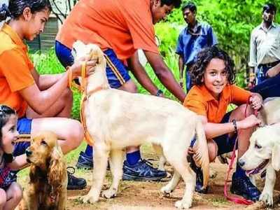 മനുഷ്യര്‍ക്കുണ്ടോ ഇത്രയും സൗകര്യങ്ങള്‍? ഉത്തരേന്ത്യയിലും വരുന്നു ഡോഗ് പാര്‍ക്ക്