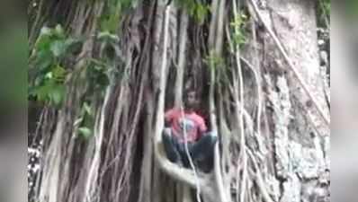 વિડીયોઃ ઓપનિંગ ક્રમમાં ફેરફાર કરવાની માગણી સાથે ઝાડ પર ચડ્યો ફેન