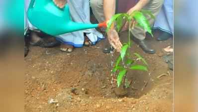 Green Ahmedabad Campaign: 9.75 લાખ વૃક્ષો વાવી ગ્રીનકવર વધારવાનું AMCનું લક્ષ્ય