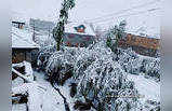 Kashmirs Sonamarg receives fresh snowfall