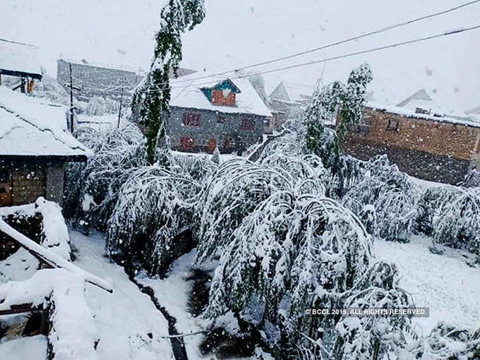 Kashmir’s Sonamarg receives fresh snowfall