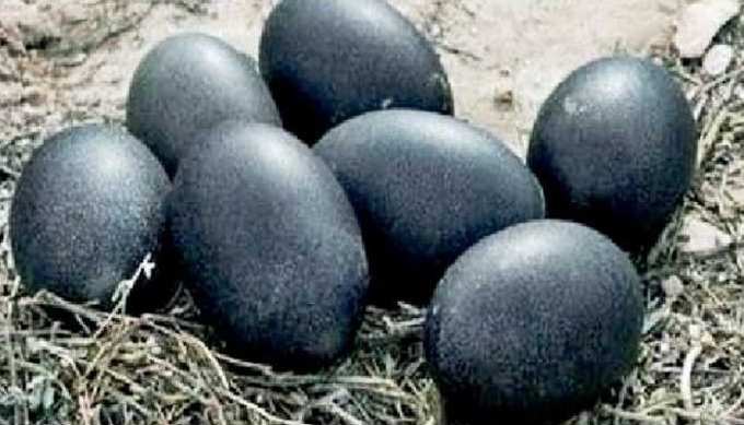 Kalimasi Eggs