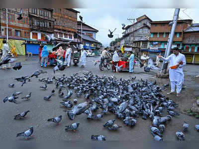 दहशतवादाकडे वळणाऱ्या युवकांची संख्या घटली