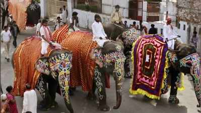 રથયાત્રા પહેલા આસામ સરકારે લીધો મોટો નિર્ણય, 4 હાથી અમદાવાદ નહીં મોકલાય