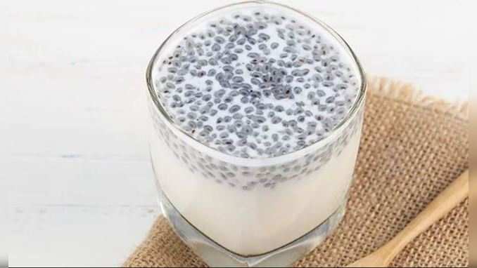 chia seeds in gujarati : આટલા ગુણકારી છે તકમરિયાં, નિયમિત સેવન કરશો તો બીમારીઓ ભાગશે દૂર 