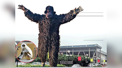 लंगूरों के आतंक से परेशान अहमदाबाद एयरपोर्ट ने तैनात किया भालू