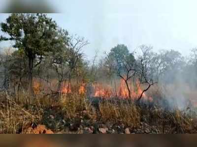 నల్లమల్లలో మళ్లీ రాజుకున్న అగ్ని.. భారీగా అడవి దగ్ధం