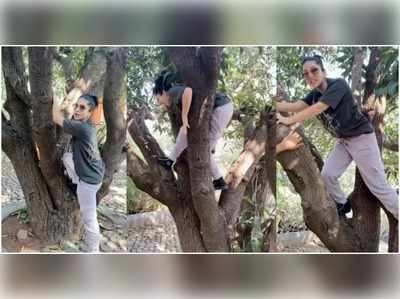 ഇതല്ല ഇതിനപ്പുറം ചാടിയവളാണീ സണ്ണി!; വൈറലായി സണ്ണിയുടെ മരം കയറ്റം