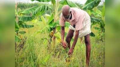 பணம் கிடைக்காத 5 கோடி விவசாயிகள்!