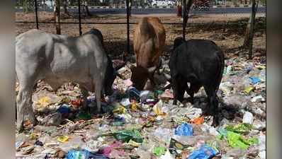 PM મોદીની પ્લાસ્ટિક વિરોધી ઝુંબેશને પૂરી નહીં કરી શકે ગુજરાત?