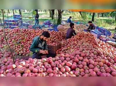 આર્ટિકલ 370: કાશ્મીરમાં સૂકા મેવા, સફરજનના વેપારીઓને કરોડોનું નુકસાન