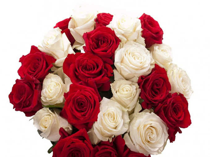 सफेद-लाल गुलाब (White-Red Rose): आप मेरे लिए परफेक्ट हैं
