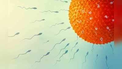 શું તમને ખબર છે Sperm અને Semen વચ્ચેનો તફાવત, જાણો