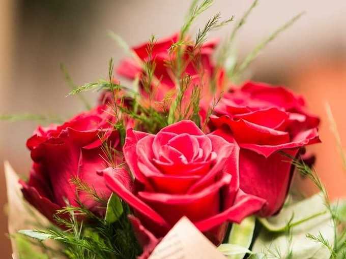 Rose Day Wishes