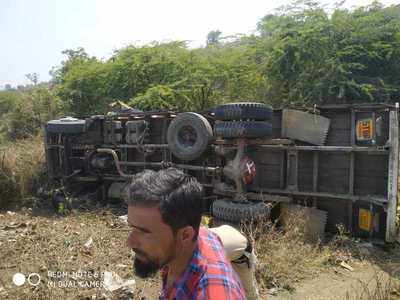 ट्रक उलटल्याने५० शेळ्या मृत्युमुखी