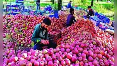 દિલ્હીમાં સાવ સસ્તા ભાવે વેચાઈ રહ્યા છે કાશ્મીરી સફરજન, આ છે કારણ