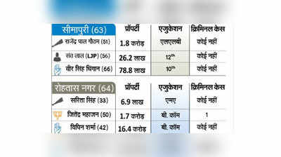 दिल्ली चुनाव: वोटिंग से पहले जानें नेताजी को