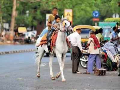 ફેમિલી સાથે લૉ ગાર્ડન ફરવા ગયેલા વેપારીને ઘોડાવાળાઓએ ભેગા મળીને ફટકાર્યા