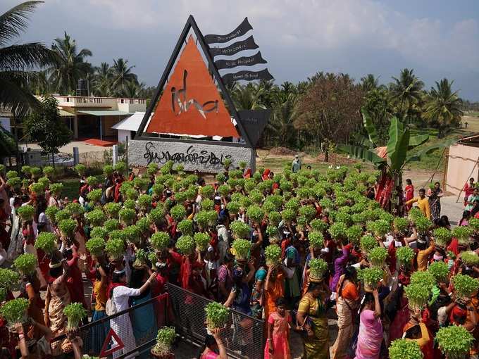 முளைப்பாரி சுமந்த பெண்கள்