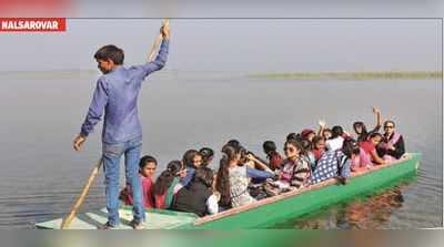 લંબાયેલું ચોમાસું યાયાવર પક્ષીઓને પણ નડ્યું, નળસરોવરમાં દેખા ના દીધી