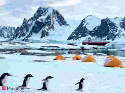 तेजी से गर्म हो रहा अंटार्कटिका, रेकॉर्ड तापमान 18.3 डिग्री सेल्सियस पहुंचा