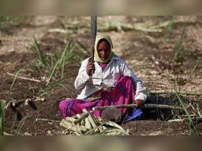 મહારાષ્ટ્રમાં ગર્ભાશય કાઢી નાખવા મજબૂર છે મહિલાઓ, જાણો કારણ 