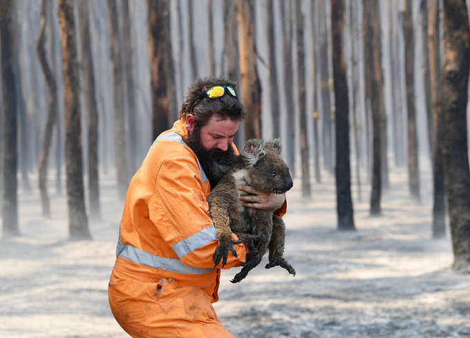 Tear-jerking pictures capture devastation caused by Australia wildfires