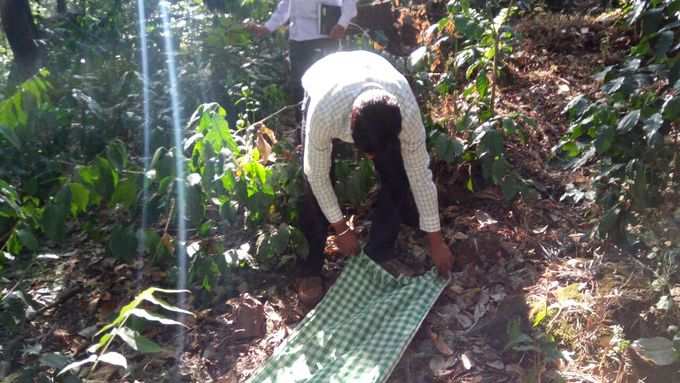 ಮಂಗನ ಕಾಯಿಲೆ ಹರಡದಂತೆ ಕ್ರಮ