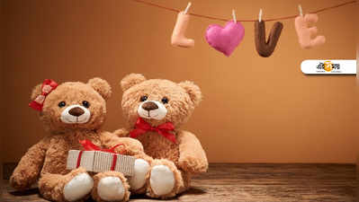 Happy Teddy Day 2020: আজ কেন টেডি ডে? জানলে, প্রেম বাড়বেই!