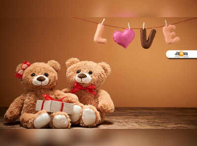 Happy Teddy Day 2020: আজ কেন টেডি ডে? জানলে, প্রেম বাড়বেই!