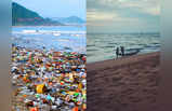 जानें, कौन हैं भारत के पांच सबसे साफ और सबसे गंदे समुद्र तट