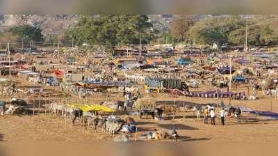 ರೈತರಿಂದ ರೈತರಿಗಾಗಿ ಸಿದ್ಧಗಂಗೆ ಜಾತ್ರೆ