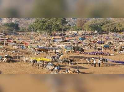 ರೈತರಿಂದ ರೈತರಿಗಾಗಿ ಸಿದ್ಧಗಂಗೆ ಜಾತ್ರೆ