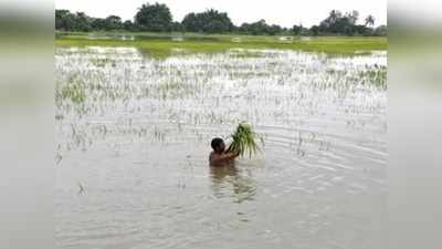 விவசாயிகளை வாட்டி வதைத்த வெள்ளமும் வறட்சியும்!