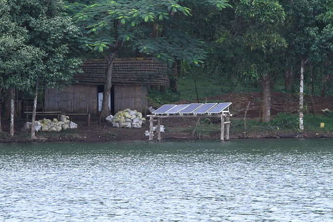 ಬೇರ್ ಪಾಥ್ ಟ್ರೈಲ್