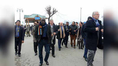 काश्मीरमधून कलम ३७० हटवणं गरजेचं होतं: युरोपीय दल