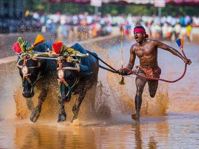 ಉಸೇನ್‌ ಬೋಲ್ಟ್‌ಗಿಂತ ವೇಗವಾಗಿ ಓಡಿದ ಮೂಡುಬಿದಿರೆಯ ಕಂಬಳವೀರ!