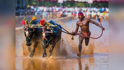 ಉಸೇನ್‌ ಬೋಲ್ಟ್‌ಗಿಂದ ವೇಗವಾಗಿ ಓಡಿದ ಮೂಡುಬಿದಿರೆಯ ಕಂಬಳವೀರ!