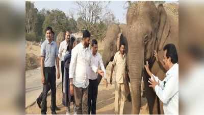 ಬನ್ನೇರುಘಟ್ಟ ಝೂನಲ್ಲಿ ಆನಂದ್ ಸಿಂಗ್ ಸಫಾರಿ: ಅಧಿಕಾರಿಗಳ ಜೊತೆ ಅರಣ್ಯ ಸಚಿವರ ಮೀಟಿಂಗ್