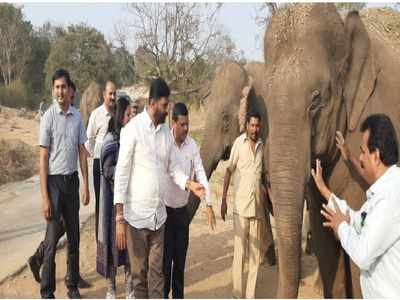 ಬನ್ನೇರುಘಟ್ಟ ಝೂನಲ್ಲಿ ಆನಂದ್ ಸಿಂಗ್ ಸಫಾರಿ: ಅಧಿಕಾರಿಗಳ ಜೊತೆ ಅರಣ್ಯ ಸಚಿವರ ಮೀಟಿಂಗ್