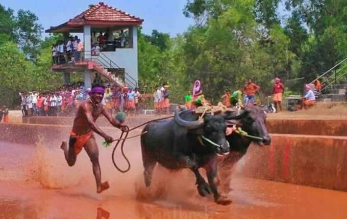 ​ಏನಿದು ಸಾಧನೆ