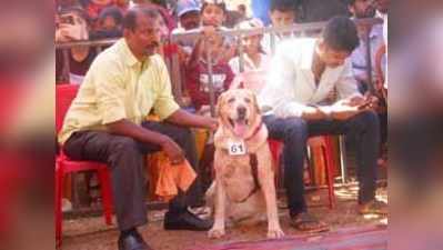 ಶ್ವಾನಗಳ ಗತ್ತುಗೈರತ್ತು ಅನಾವರಣ