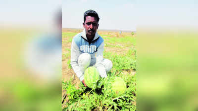 ನಿಂತ ಮಳೆ ನೀರೇ ಬೇಸಾಯಕ್ಕೆ ಆಸರೆ