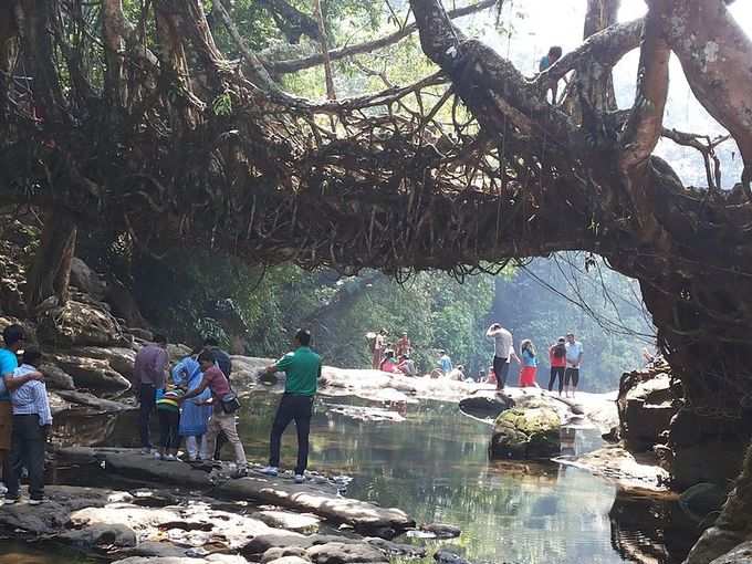 ​ಇಂಗ್ಲಿಷ್ ಭಾಷೆಯೂ ಗೊತ್ತು!