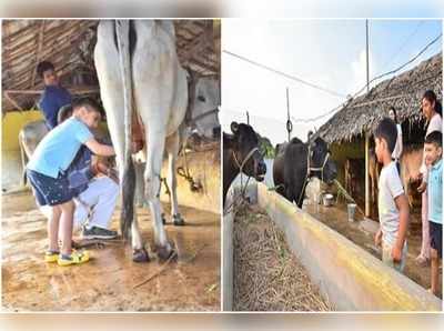 పశువులంటే ప్రాణం అంటున్న నారా దేవాన్ష్.. సరదాగా కాసేపు