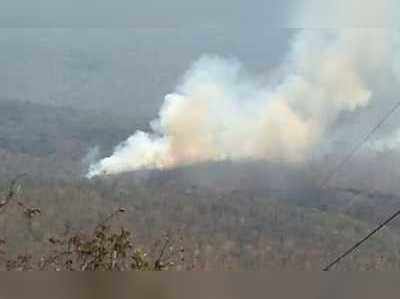 శ్రీశైలం అడవుల్లో భారీగా మంటలు.. ఆందోళనలో శివ భక్తులు