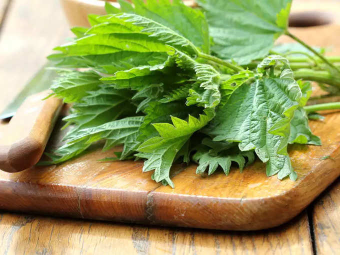 ​ಚುರುಚುರಿಕೆ ಗಿಡ (Nettle)